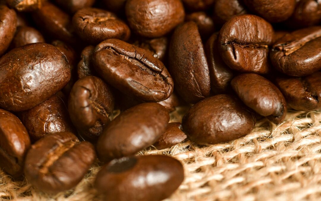 What is speciality coffee?