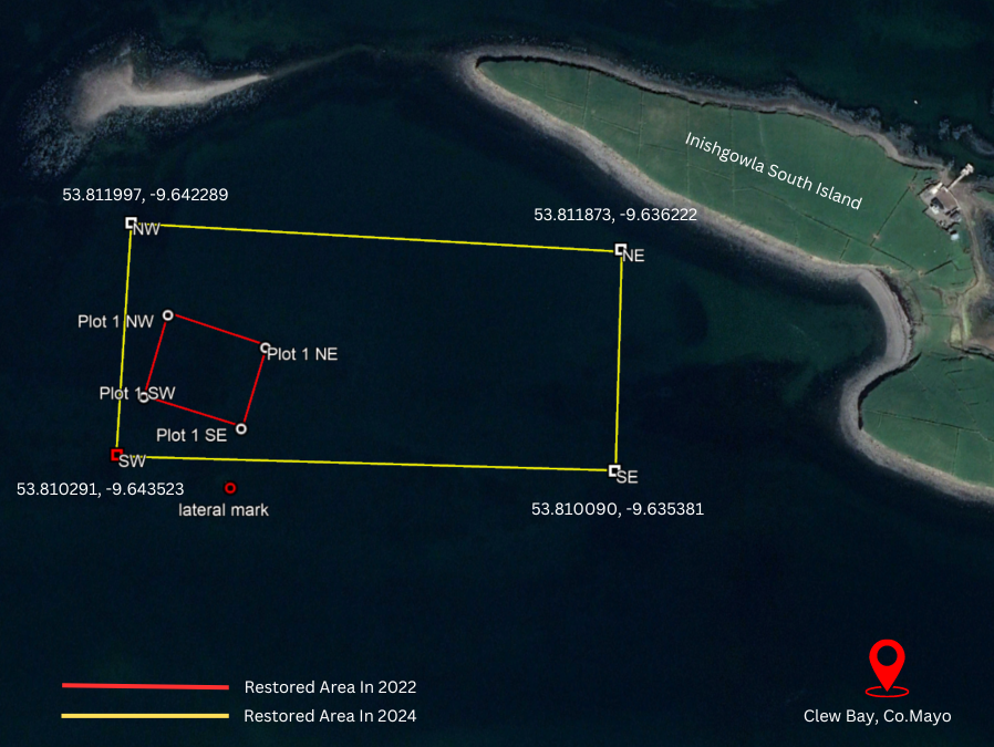 Clew Bay Restoration Update: We Restored 13 Hectares