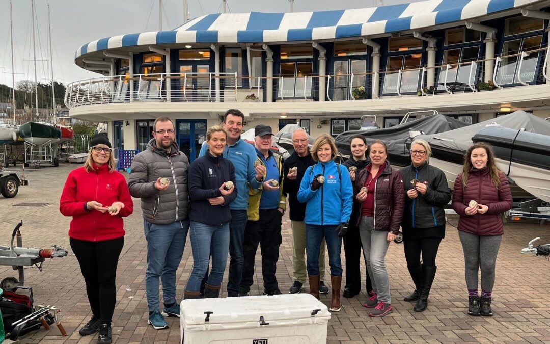 Phase 2 of the Green Ocean Oyster Restoration Project in Dublin Bay