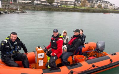 Green Ocean Dun Laoghaire Phase 3 – Completed!