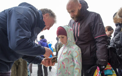 Green Ocean – Greystones Pilot Launches